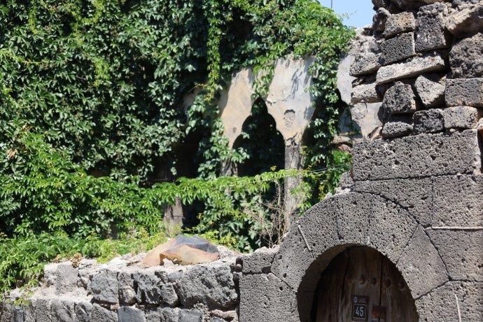 نمی توانند بیرونم کنند، تا آخر عمرم اینجا میمانم + فیلم و تصاویر