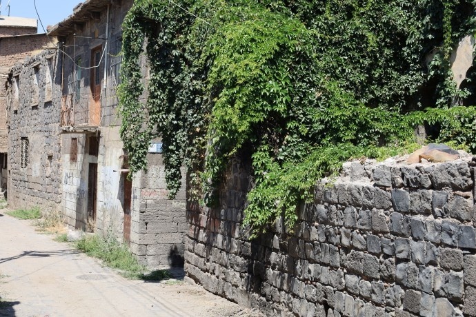 نمی توانند بیرونم کنند، تا آخر عمرم اینجا میمانم + فیلم و تصاویر