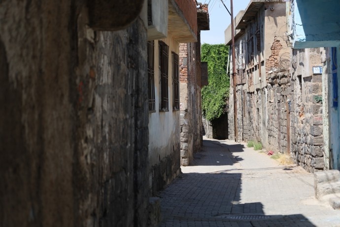 نمی توانند بیرونم کنند، تا آخر عمرم اینجا میمانم + فیلم و تصاویر