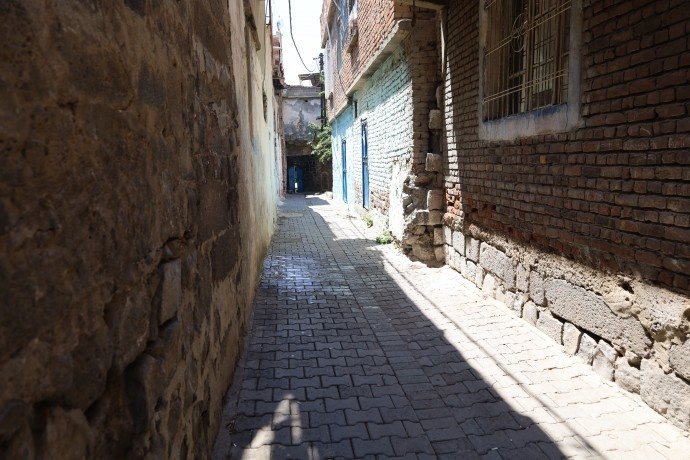 نمی توانند بیرونم کنند، تا آخر عمرم اینجا میمانم + فیلم و تصاویر