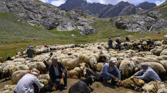 بازگشت آرامش به کوهستانهای مناطق کردنشین ترکیه