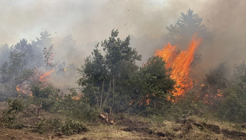 فاجعه در اسکیشهر؛ ۱۰ نیروی امدادی زنده زنده در آتش سوختند