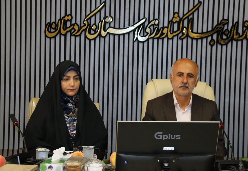 ۵۵۰ هزار تُن گندم از کشاورزان کردستانی خریداری شد