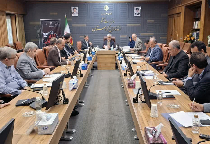 واردات ۴۰۰ تن روغن و تشکیل ۳۷۹ پرونده تخلف، بازار را سامان داد