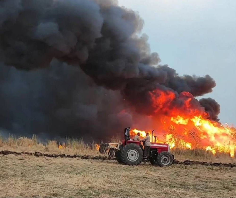 ١٤٥ هکتار از تالاب «گروس» مهاباد خاکستر شد