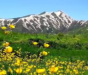 «خدرآباد» و دشت «وەزنێ» میرآباد ثبت ملی می شوند