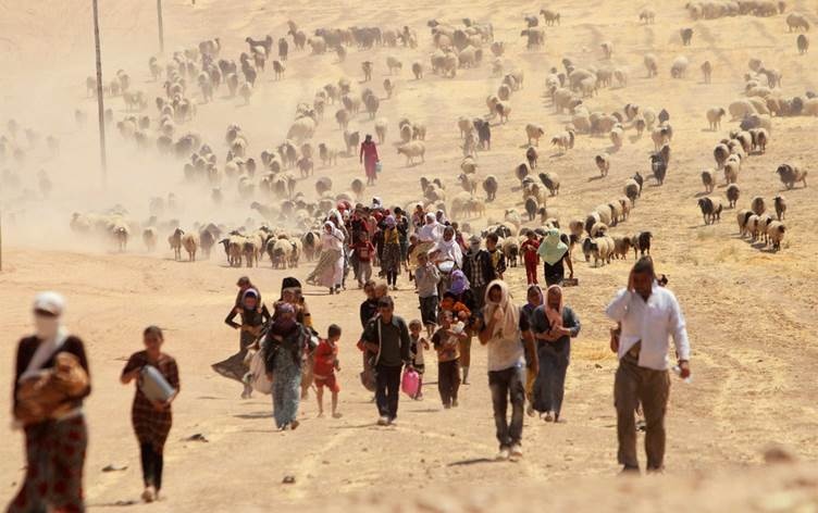 یازده سال پس از فاجعه شنگال؛ سرنوشت سه هزار ایزدی همچنان نامعلوم است