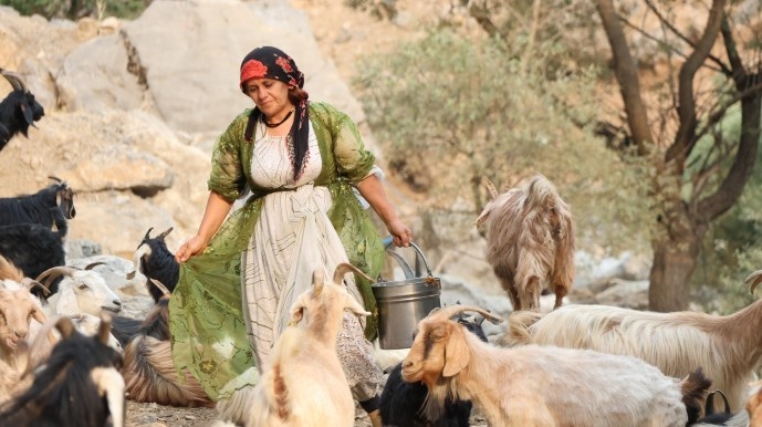 بریوانهای شِرناخ: ما بریوان ها وجب به وجب کوه های کردستان را می شناسیم + فیلم و تصاویر