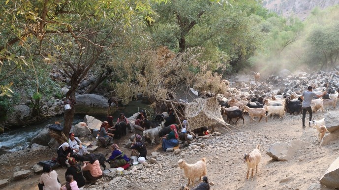 بریوانهای شِرناخ: ما بریوان ها وجب به وجب کوه های کردستان را می شناسیم + فیلم و تصاویر