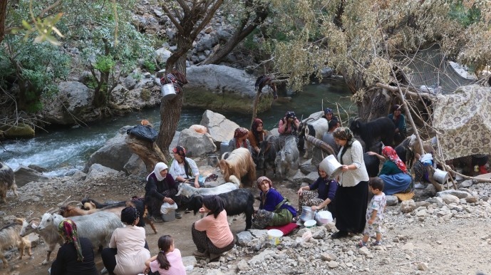بریوانهای شِرناخ: ما بریوان ها وجب به وجب کوه های کردستان را می شناسیم + فیلم و تصاویر