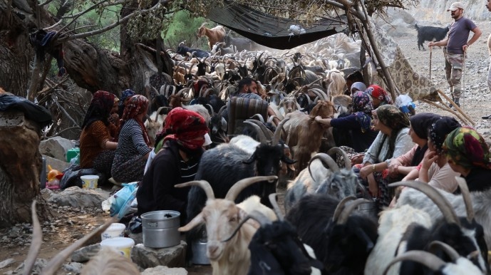 بریوانهای شِرناخ: ما بریوان ها وجب به وجب کوه های کردستان را می شناسیم + فیلم و تصاویر