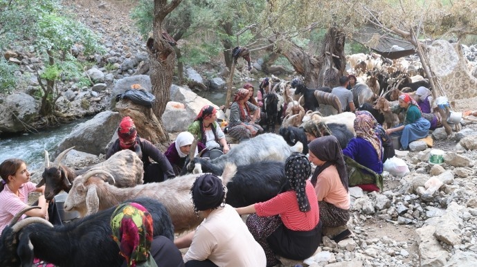 بریوانهای شِرناخ: ما بریوان ها وجب به وجب کوه های کردستان را می شناسیم + فیلم و تصاویر