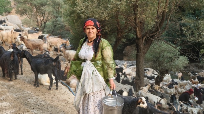 بریوانهای شِرناخ: ما بریوان ها وجب به وجب کوه های کردستان را می شناسیم + فیلم و تصاویر