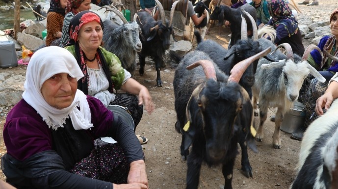 بریوانهای شِرناخ: ما بریوان ها وجب به وجب کوه های کردستان را می شناسیم + فیلم و تصاویر