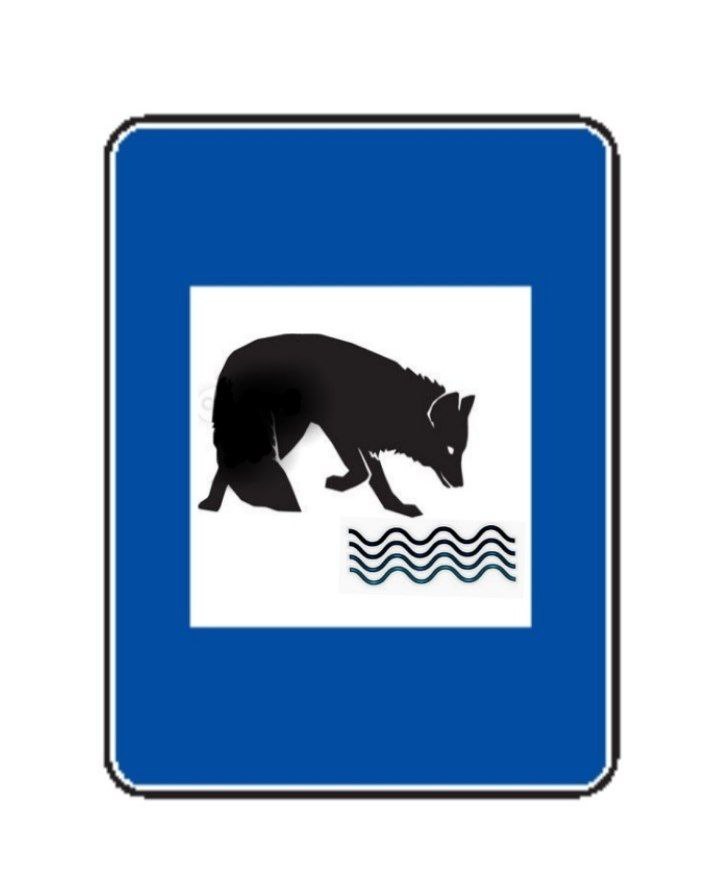 فعالان زیست محیطی اسلام آباد غرب برای حیوانات آبشخور ساختند / میثم رجبی