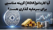 آیا کاردانو می‌تواند گزینه مناسبی برای سرمایه گذاری باشد؟