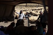 بریوان‌های کاتو مارینوس: اگر صلح واقعی است، نظامیانتان را از کوه‌های ما تخلیه کنید + فیلم