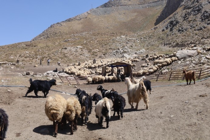 بریوانهای کاتو مارینوس: اگر صلح واقعی است، نظامیانتان را از کوههای ما تخلیه کنید + فیلم