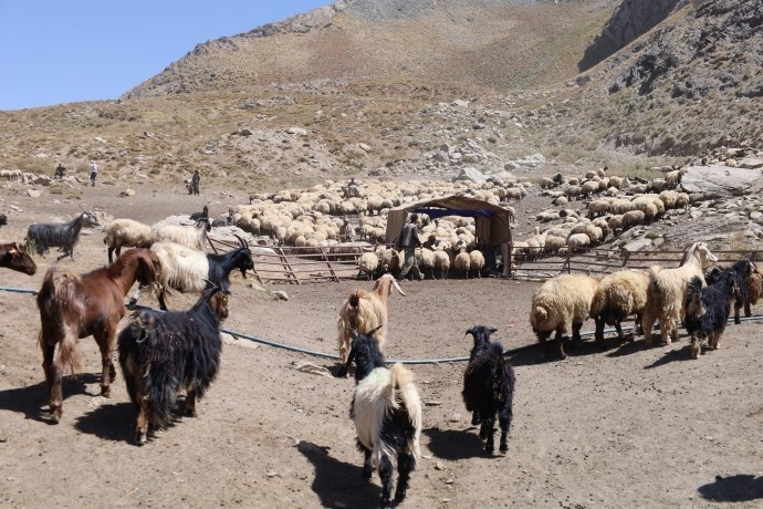 بریوانهای کاتو مارینوس: اگر صلح واقعی است، نظامیانتان را از کوههای ما تخلیه کنید + فیلم