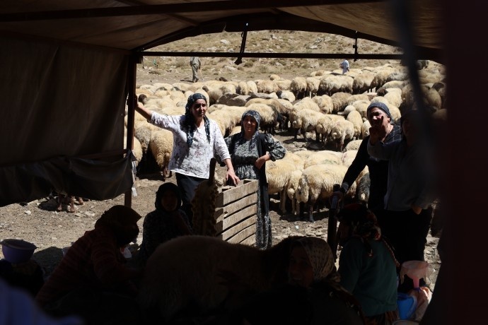 بریوانهای کاتو مارینوس: اگر صلح واقعی است، نظامیانتان را از کوههای ما تخلیه کنید + فیلم