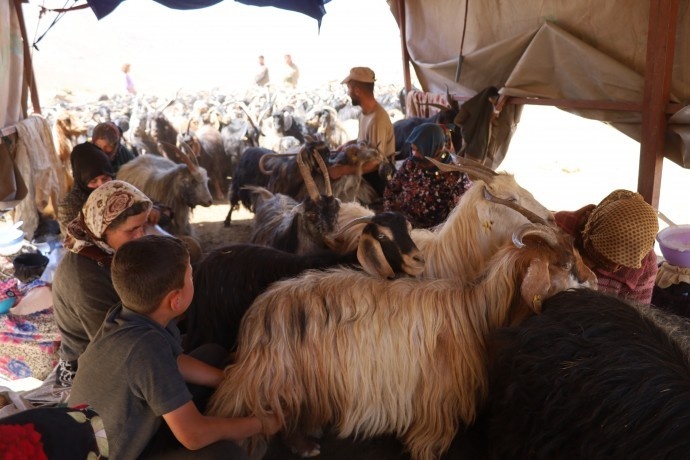بریوانهای کاتو مارینوس: اگر صلح واقعی است، نظامیانتان را از کوههای ما تخلیه کنید + فیلم