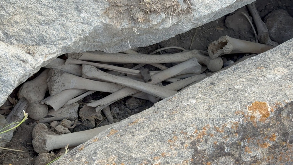 پیدا شدن استخوان های انسان در گورستان تاریخی ارمنیها در ایغدیر + فیلم