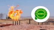 سومو: تاکنون هیچ بشکه نفتی از اقلیم کردستان دریافت نکرده‌ایم