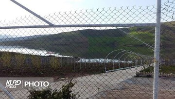 جنایت محیط زیستی در مهاباد با چاشنی زمین خواری