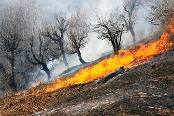 ۶۵ هکتار از مراتع و اراضی جنگلی سردشت در آتش سوخت