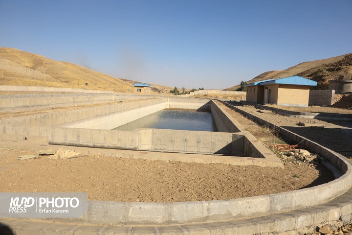 سفر استاندار کردستان به شهرستان دیواندره / عکاس : عرفان کرمی