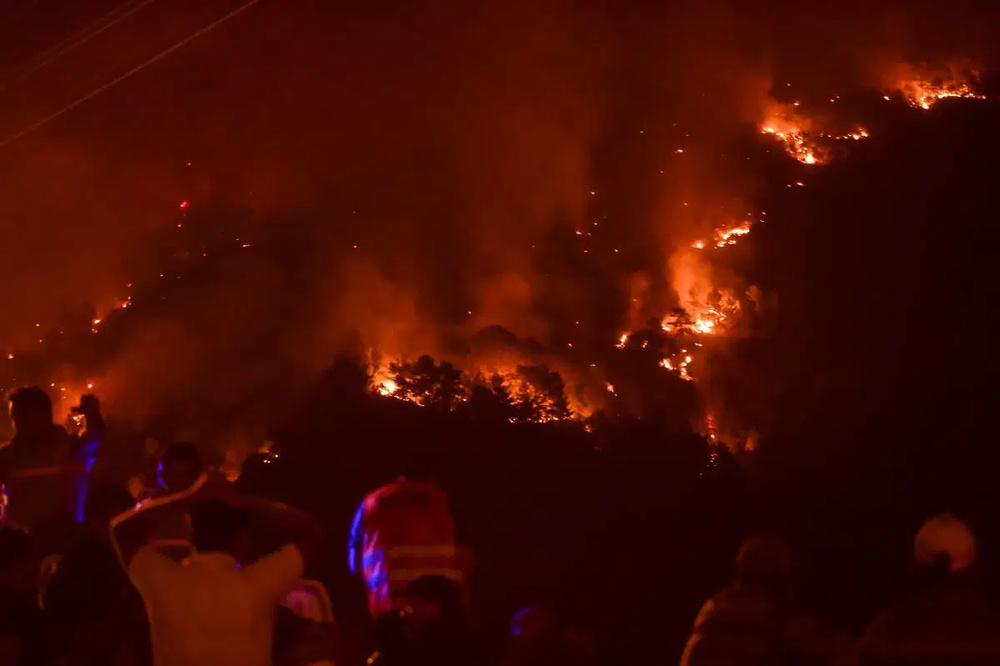 فاجعه آتش سوزی در موغلا؛ شهروندان از مناطق مسکونی تخلیه شدند