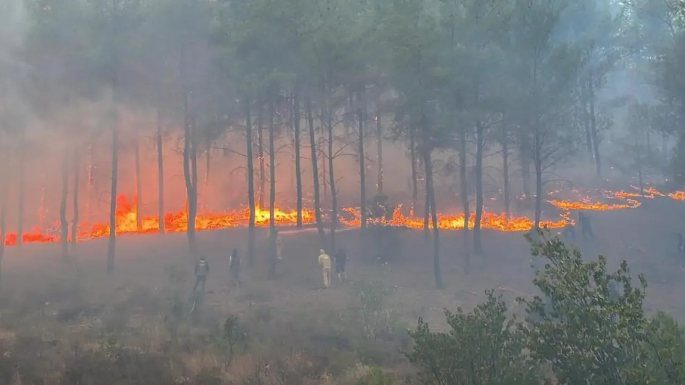 فاجعه آتش سوزی در موغلا؛ شهروندان از مناطق مسکونی تخلیه شدند
