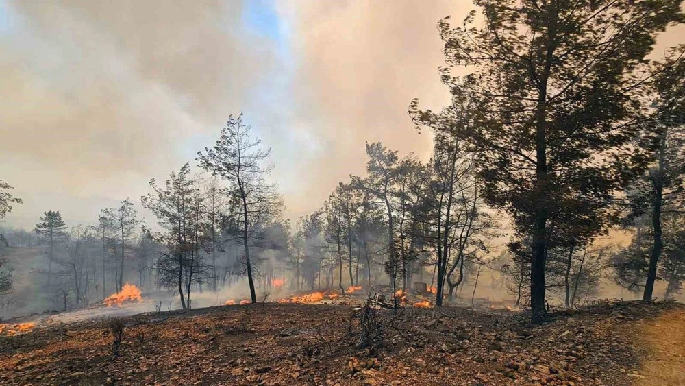 فاجعه آتش سوزی در موغلا؛ شهروندان از مناطق مسکونی تخلیه شدند
