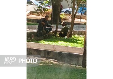 نگرانی شهروندان قروه ای از معتادان متجاهر پارک نشین