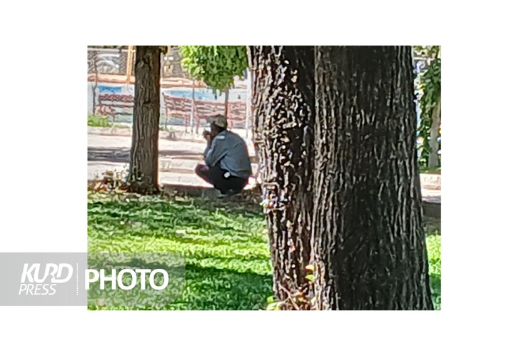 نگرانی شهروندان قروه ای از معتادان متجاهر پارک نشین