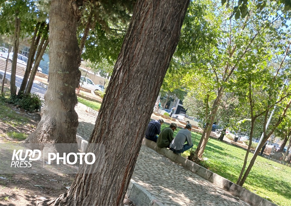 نگرانی شهروندان قروه ای از معتادان متجاهر پارک نشین