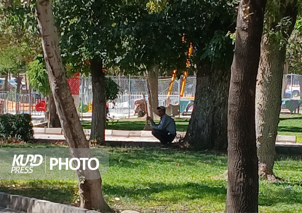 نگرانی شهروندان قروه ای از معتادان متجاهر پارک نشین