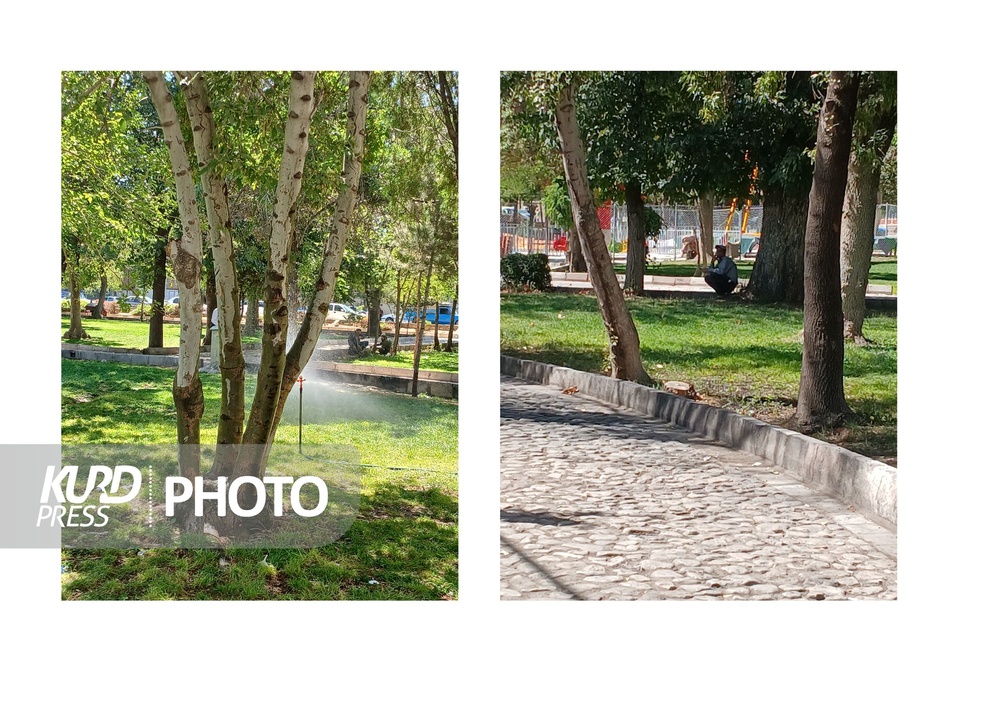 نگرانی شهروندان قروه ای از معتادان متجاهر پارک نشین