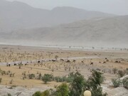 شناسایی ٤ کانون ریزگرد در حاشیه دریاچه ارومیه