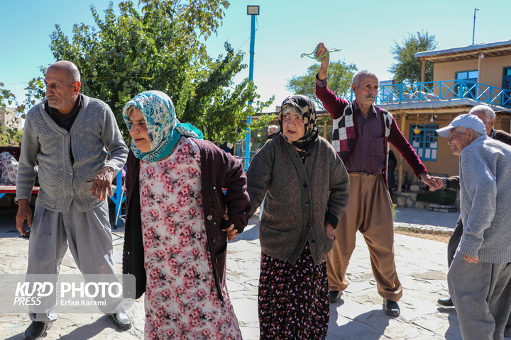 تور گردشگری سالمندان / عکاس : عرفان کرمی