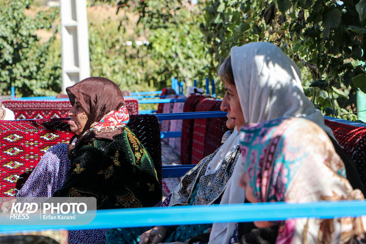 تور گردشگری سالمندان / عکاس : عرفان کرمی