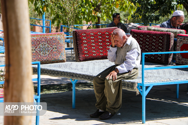تور گردشگری سالمندان / عکاس : عرفان کرمی