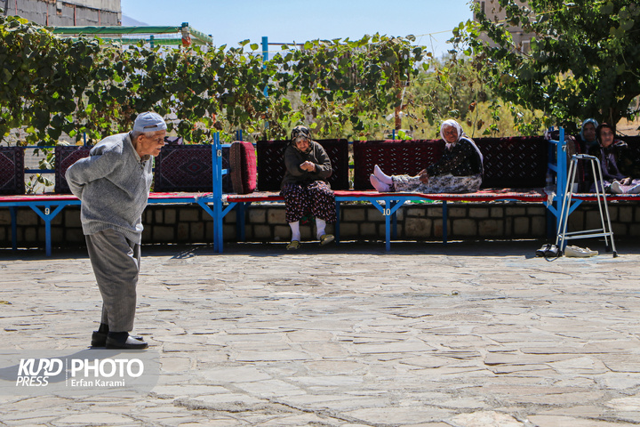 تور گردشگری سالمندان / عکاس : عرفان کرمی