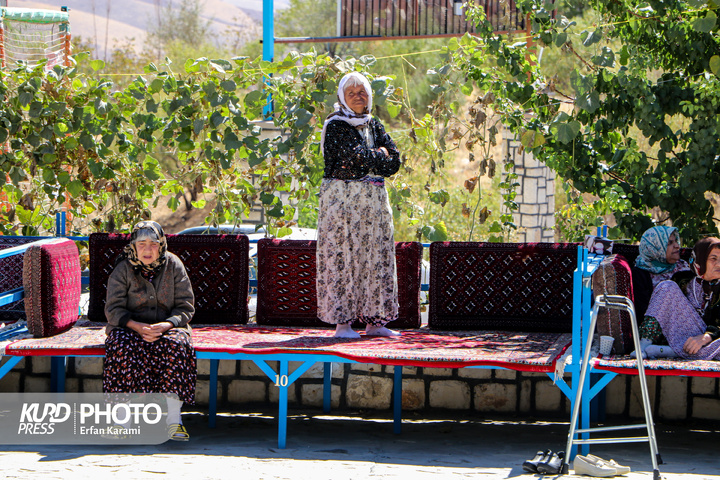 تور گردشگری سالمندان / عکاس : عرفان کرمی