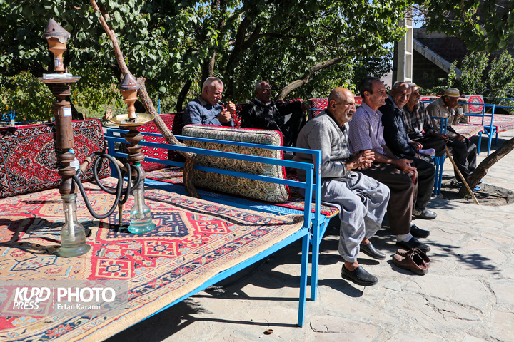 تور گردشگری سالمندان / عکاس : عرفان کرمی