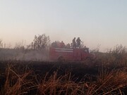 ٢٥ هکتار از تالاب درگه سنگی نقده طعمه حریق شد