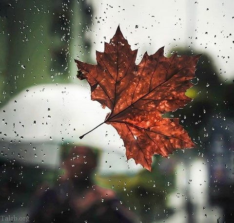 آذربایجان غربی از فردا سردتر می شود