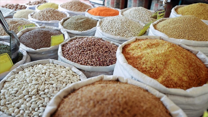 افزایش ۴.۶ درصدی صادرات غلات و حبوبات کردستان ترکیه؛ عراق و سوریه در صدر واردکنندگان