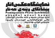 اسامی منتخبین نمایشگاه جشنواره بین المللی عکس «انار» در حلبچه اعلام شد
