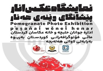 اسامی منتخبین نمایشگاه جشنواره بین المللی عکس «انار» در حلبچه اعلام شد